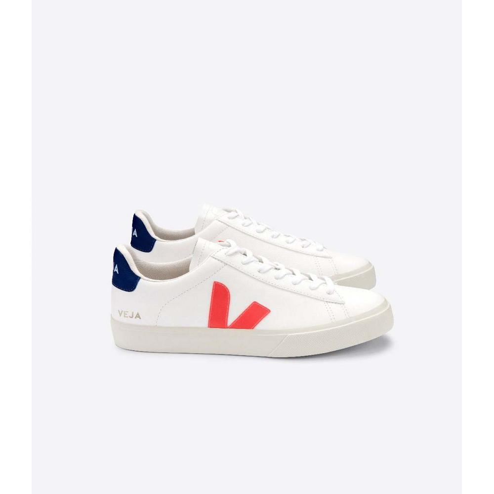 Low Tops Sneakers Veja CAMPO CHROMEFREE Feminino White/Orange/Blue | PT386JPQ