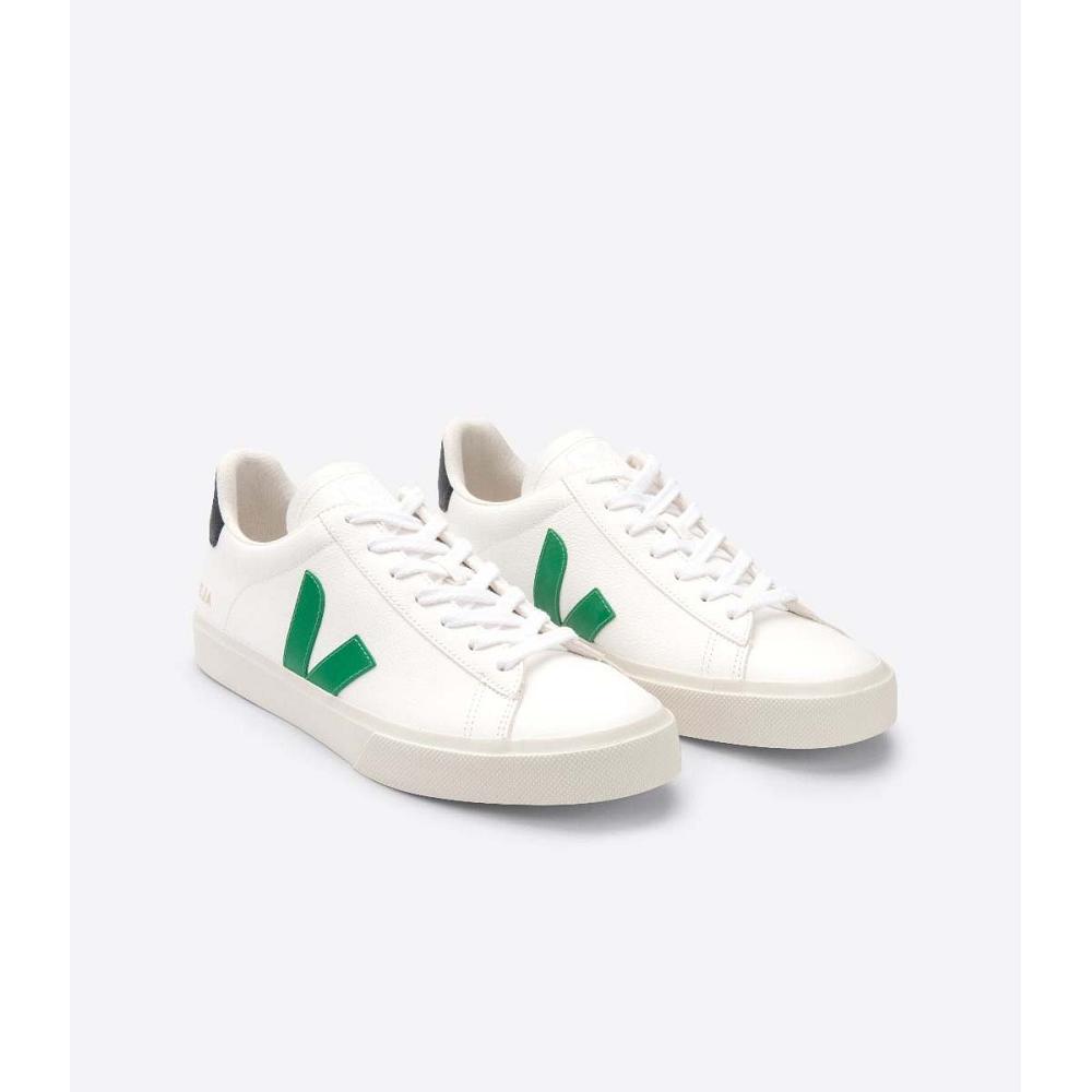 Low Tops Sneakers Veja CAMPO CHROMEFREE Feminino White/Green | PT391SGL