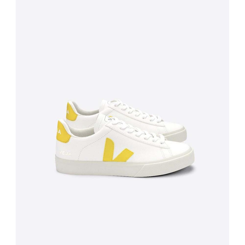 Low Tops Sneakers Veja CAMPO CHROMEFREE Masculino White/Yellow | PT689MQZ