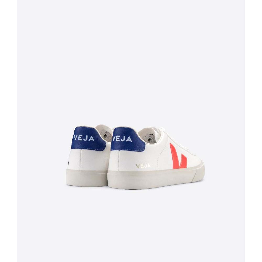Low Tops Sneakers Veja CAMPO CHROMEFREE Masculino White/Orange/Blue | PT690NWY