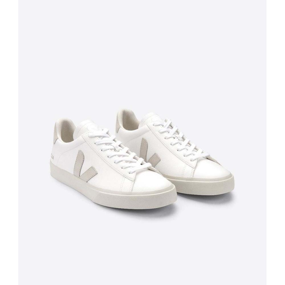 Low Tops Sneakers Veja CAMPO CHROMEFREE Masculino White/Beige | PT691BEX