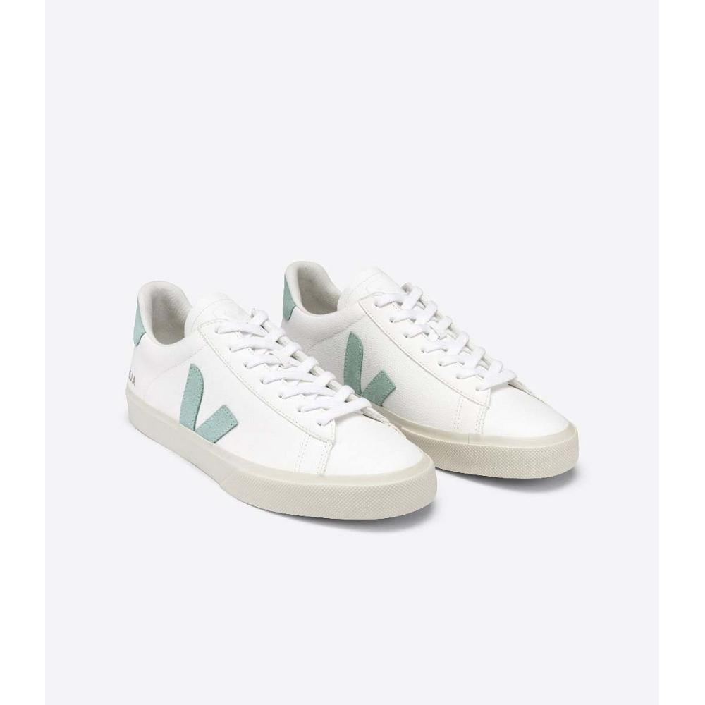 Low Tops Sneakers Veja CAMPO CHROMEFREE Masculino White/Mint | PT692VRW