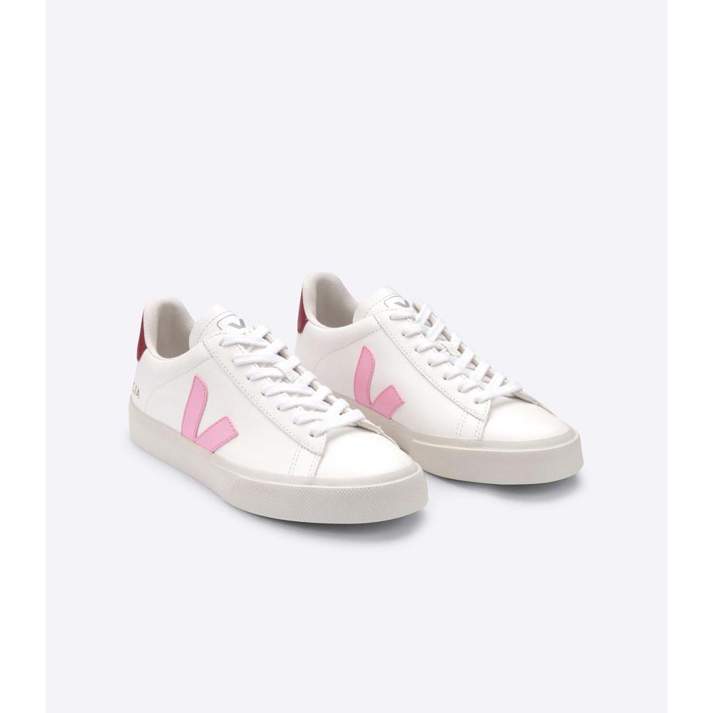 Low Tops Sneakers Veja CAMPO CHROMEFREE Masculino White/Pink | PT694XYU