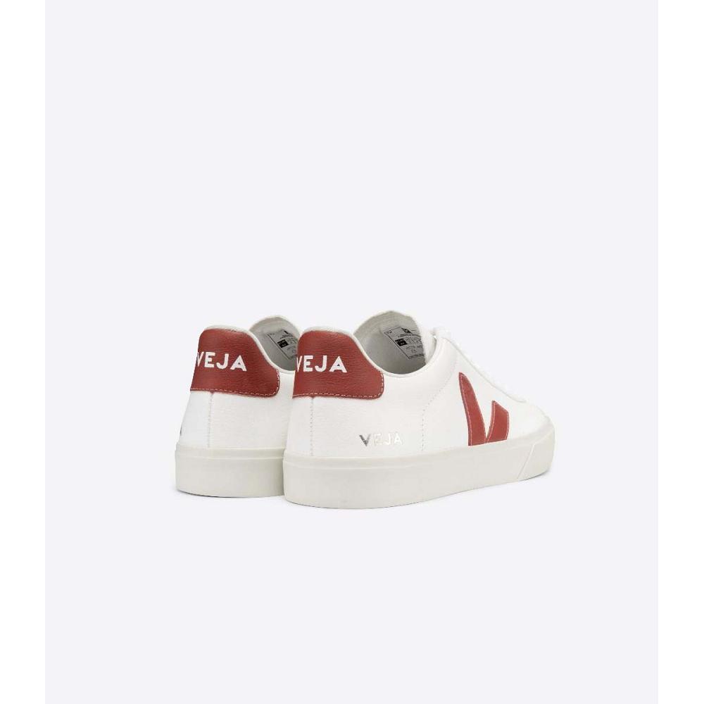 Low Tops Sneakers Veja CAMPO CHROMEFREE Masculino White/Red | PT786UZG
