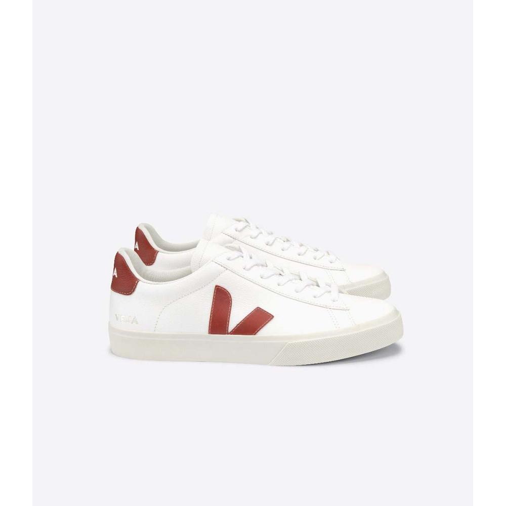 Low Tops Sneakers Veja CAMPO CHROMEFREE Masculino White/Red | PT786UZG