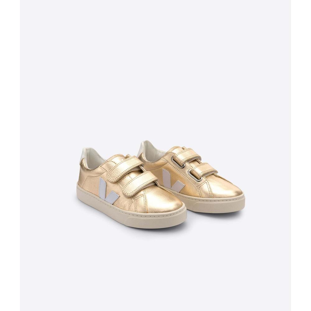 Sapatos Veja ESPLAR CHROMEFREE Criança Douradas | PT262AHK
