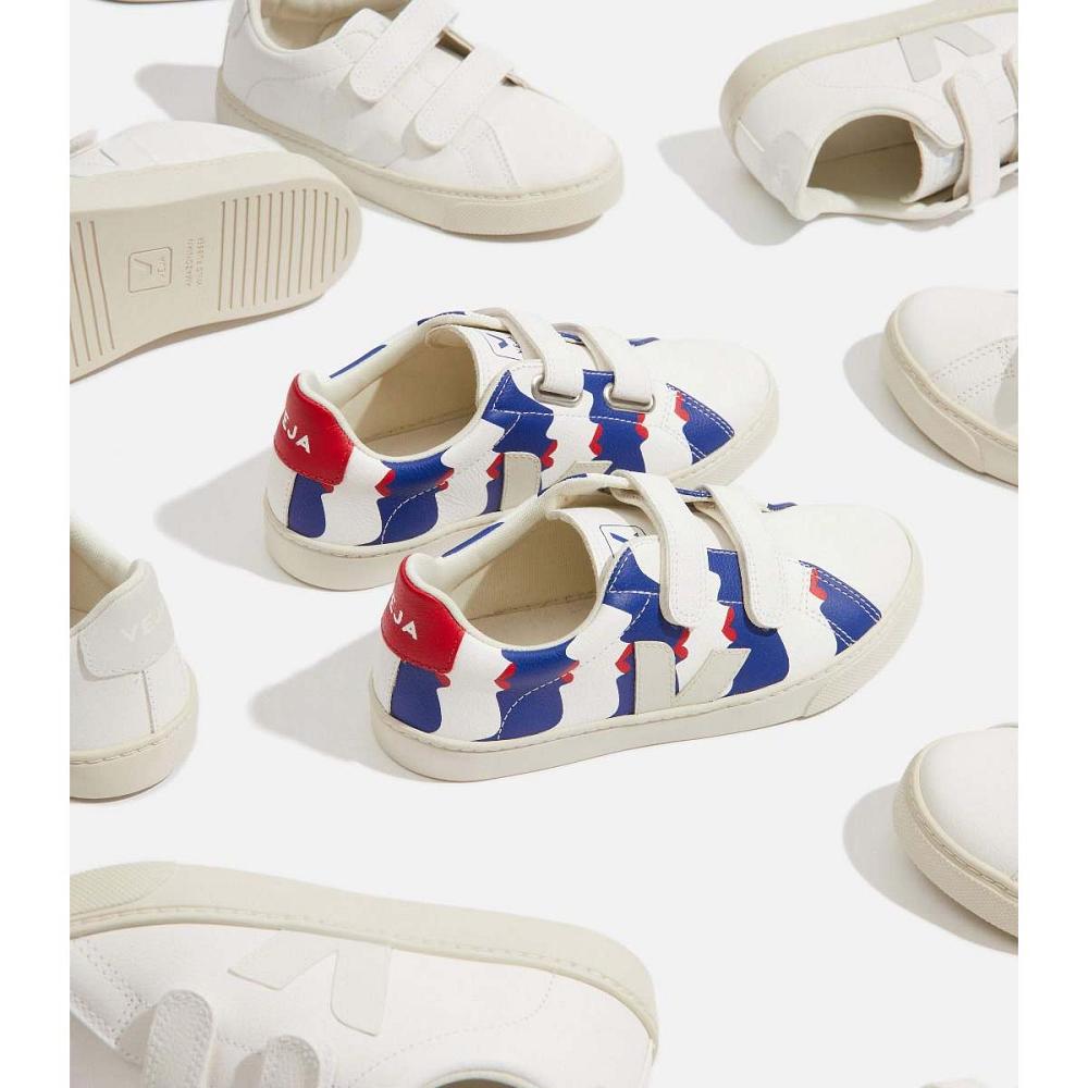 Sapatos Veja ESPLAR CHROMEFREE Criança Multicoloridas | PT264OKI
