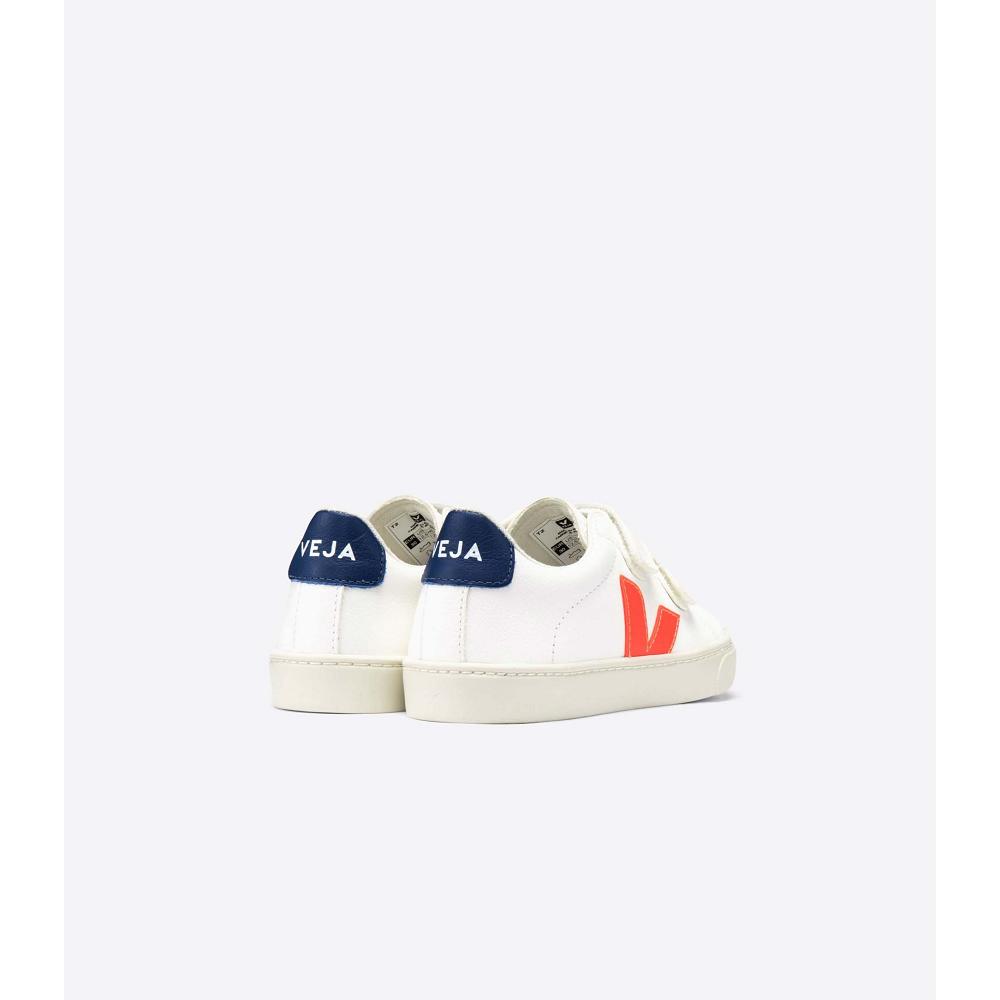 Sapatos Veja ESPLAR CHROMEFREE Criança White/Orange/Blue | PT257HAP