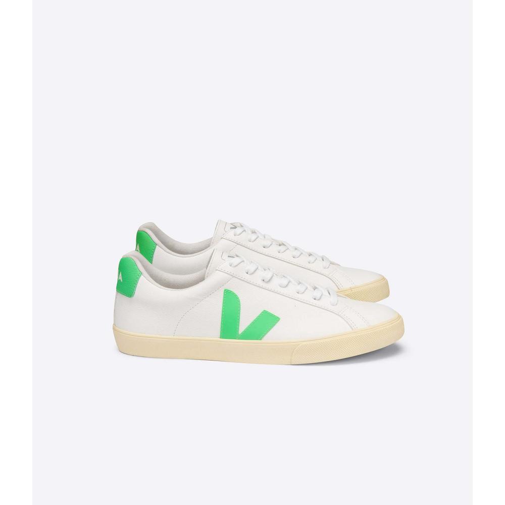 Sapatos Veja ESPLAR CHROMEFREE Masculino White/Green | PT795BEX