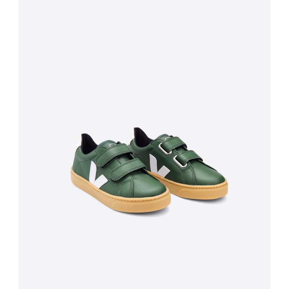 Sapatos Veja ESPLAR LEATHER Criança Verdes | PT251CTV