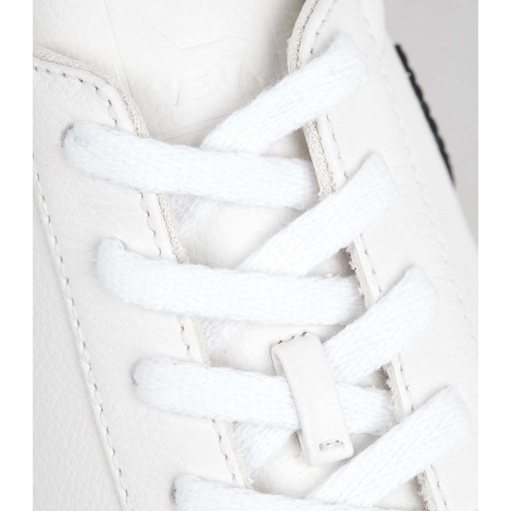 Sapatos Veja LACES ORGANIC COTTON Masculino Branco | PT779FDN