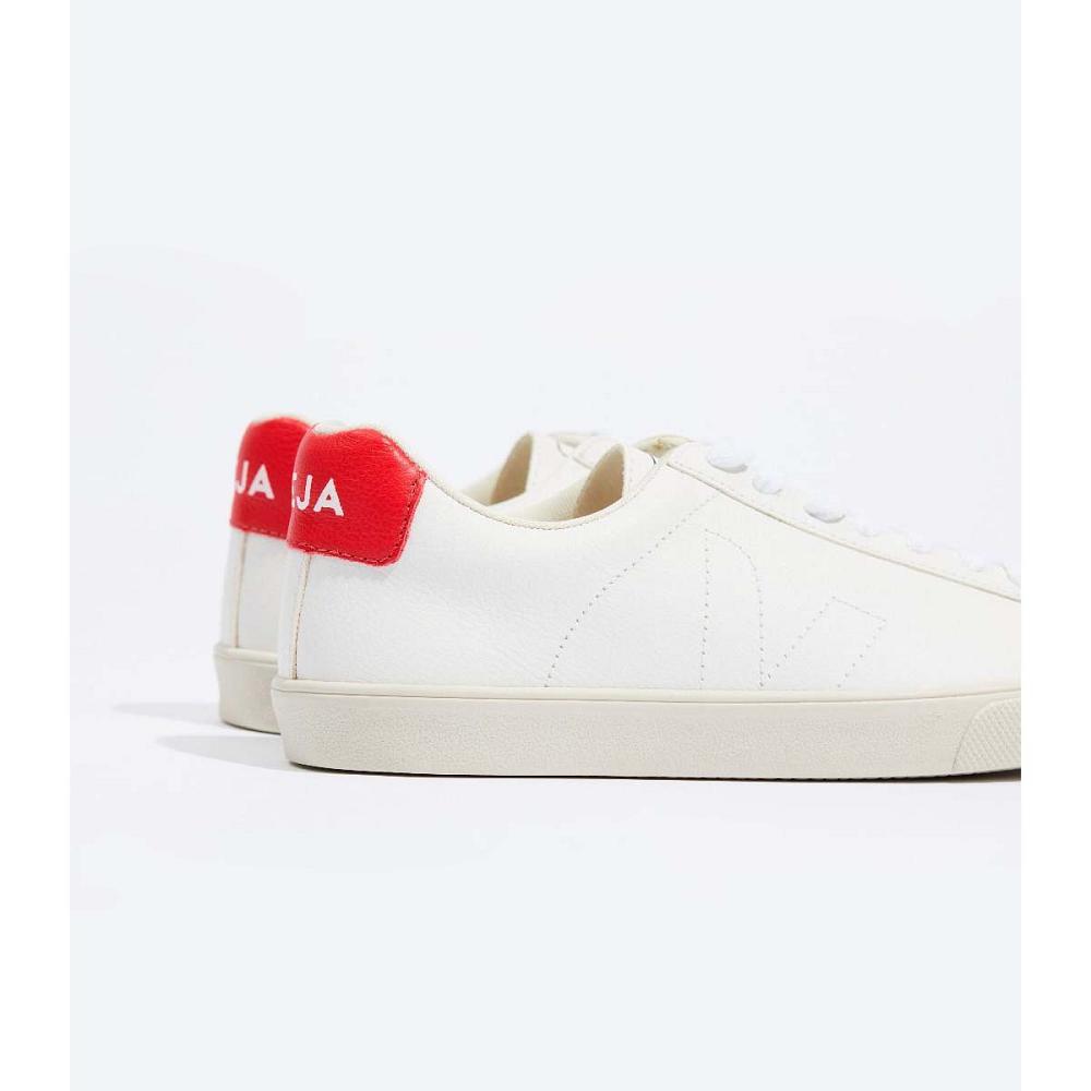 Tenis Veja ESPLAR CHROMEFREE Masculino White/Red | PT680OKI