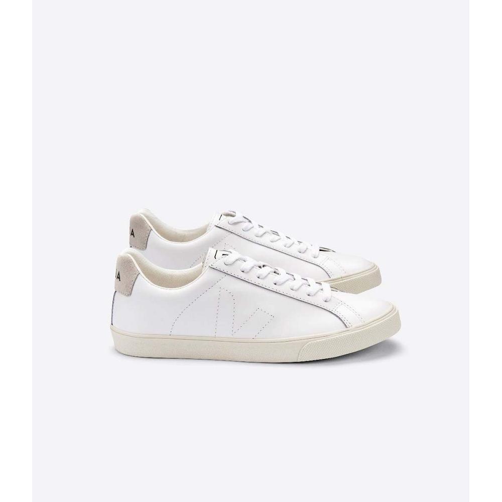 Tenis Veja ESPLAR LEATHER Feminino White/Beige | PT366AHK