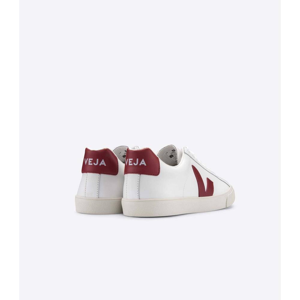 Tenis Veja ESPLAR LEATHER Feminino White/Red | PT367PJJ