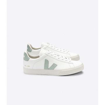 Low Tops Sneakers Veja CAMPO CHROMEFREE Masculino White/Mint | PT692VRW