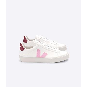 Low Tops Sneakers Veja CAMPO CHROMEFREE Masculino White/Pink | PT794NWY